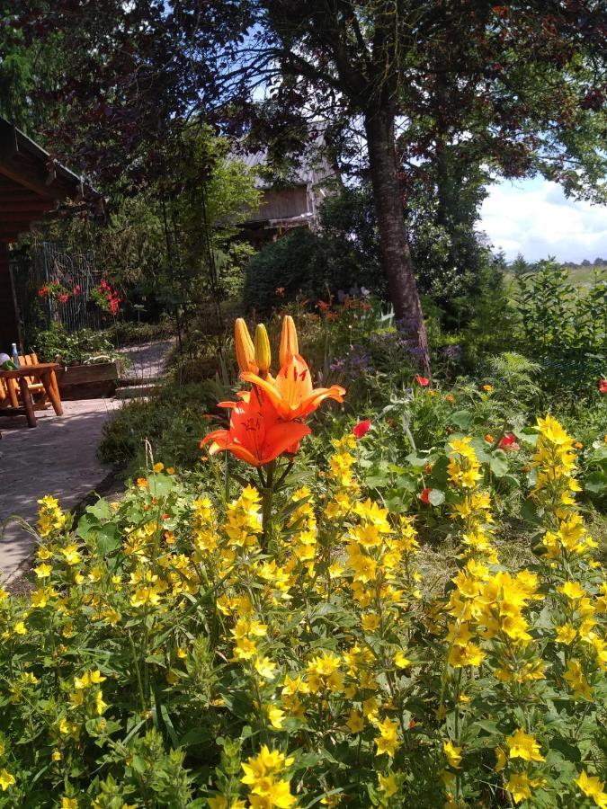Chalet Le Paradou Adults Only Lessive エクステリア 写真