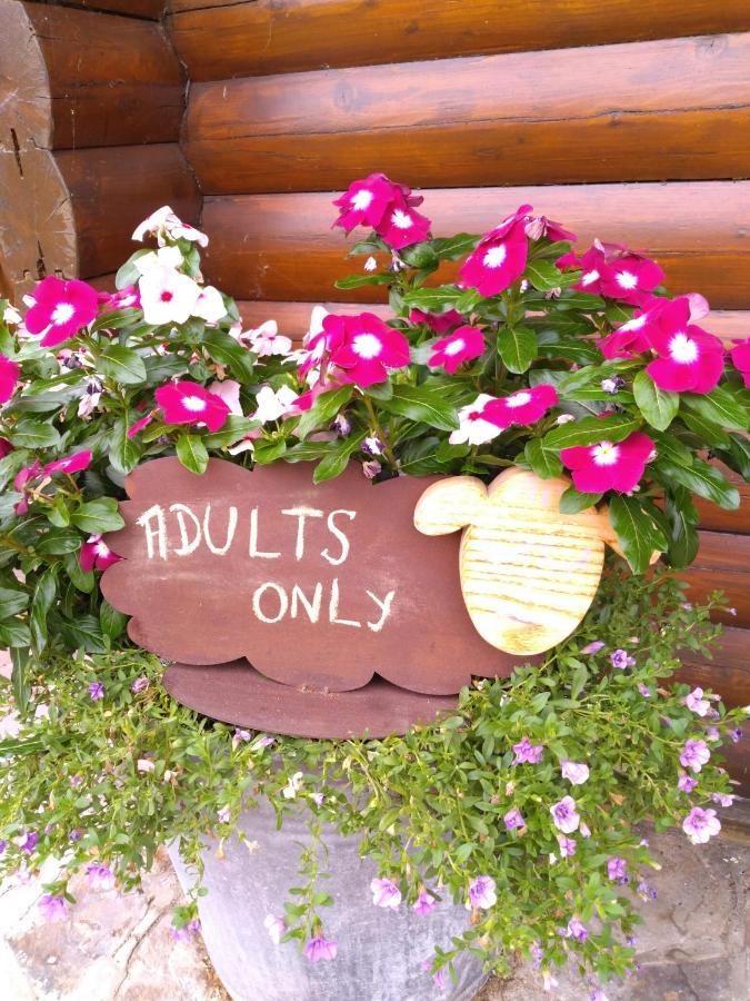 Chalet Le Paradou Adults Only Lessive エクステリア 写真